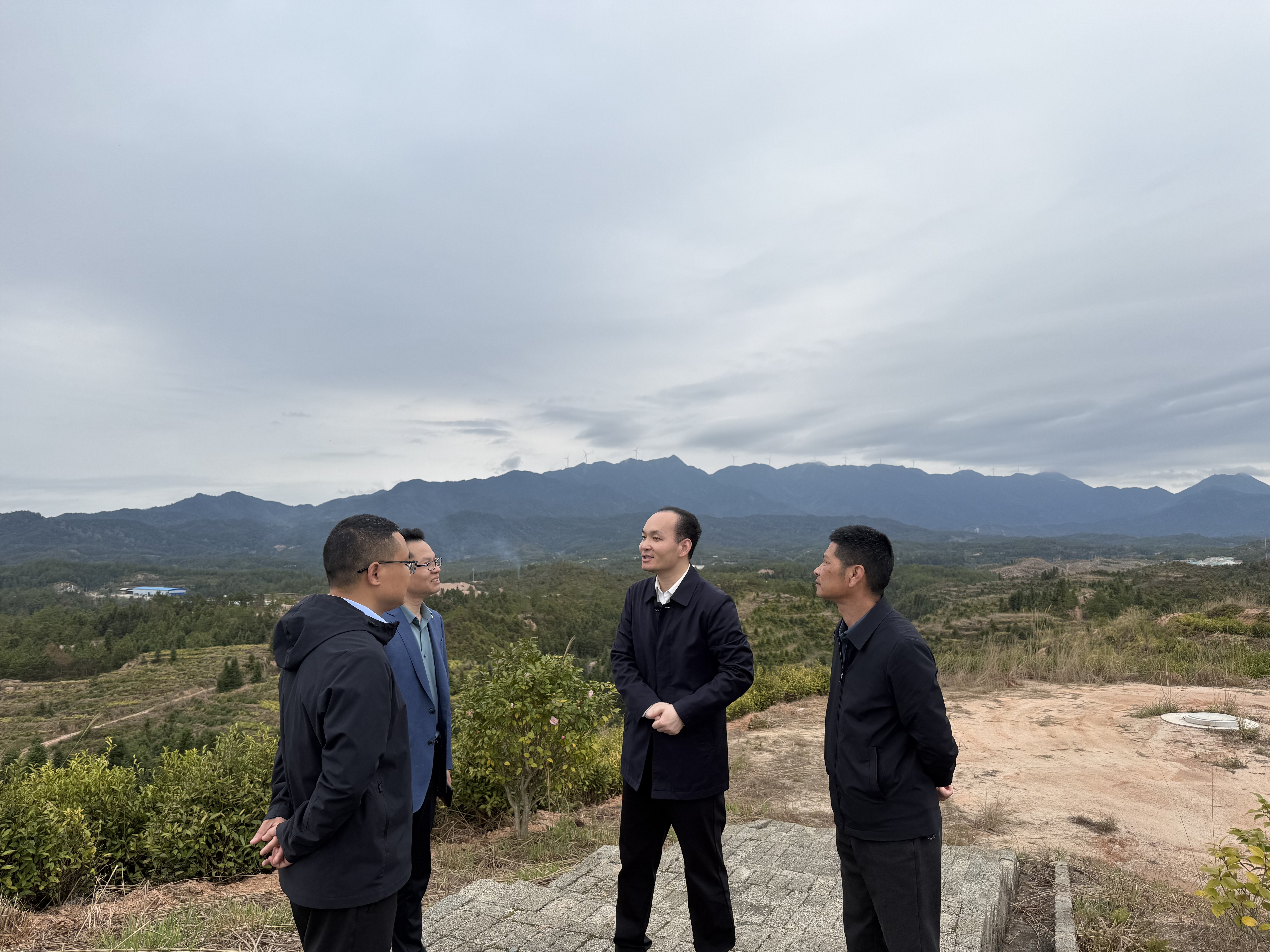 镇党委书记许德洋等领导莅临茶山考察