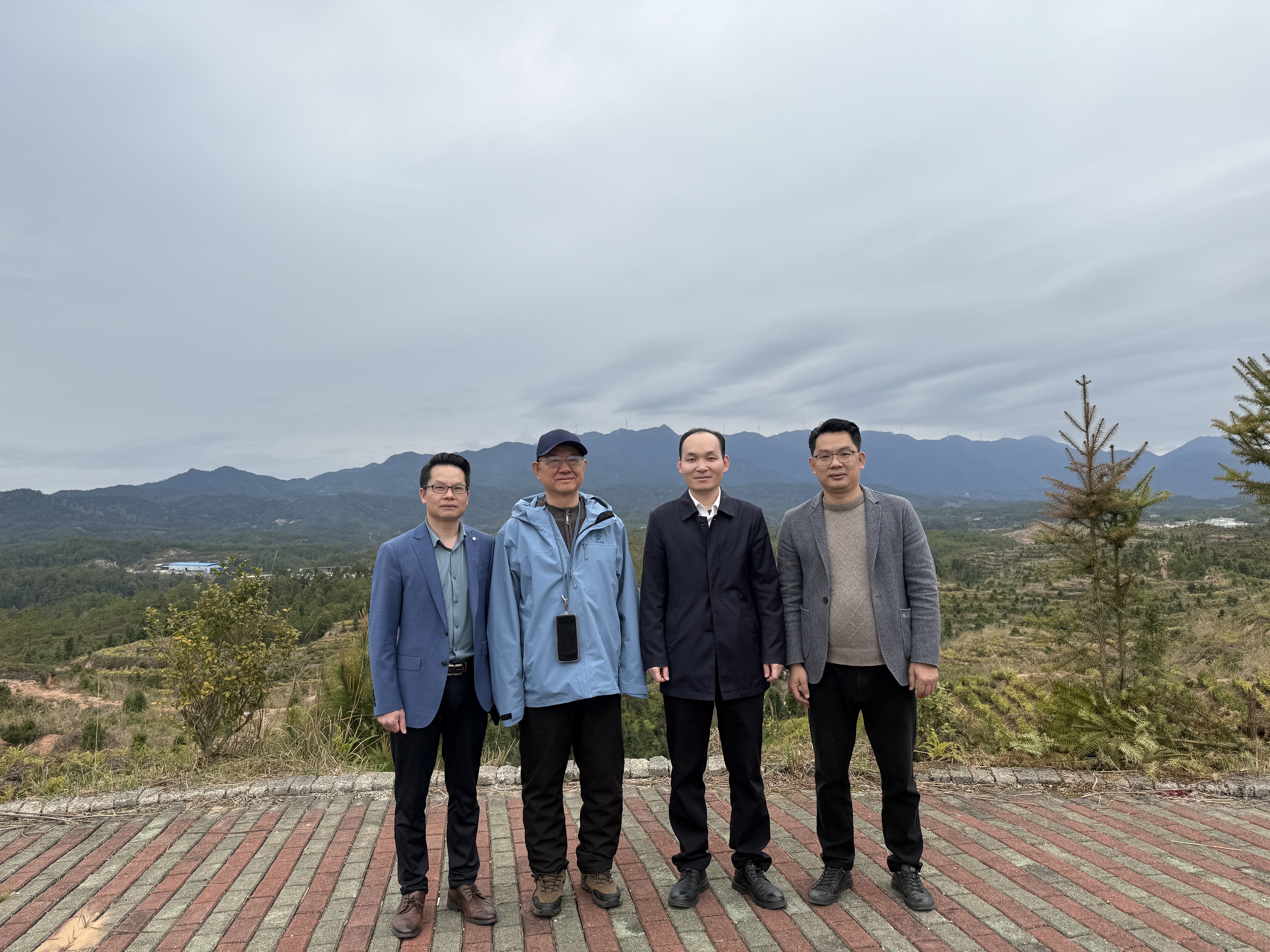镇党委书记许德洋等领导莅临茶山考察