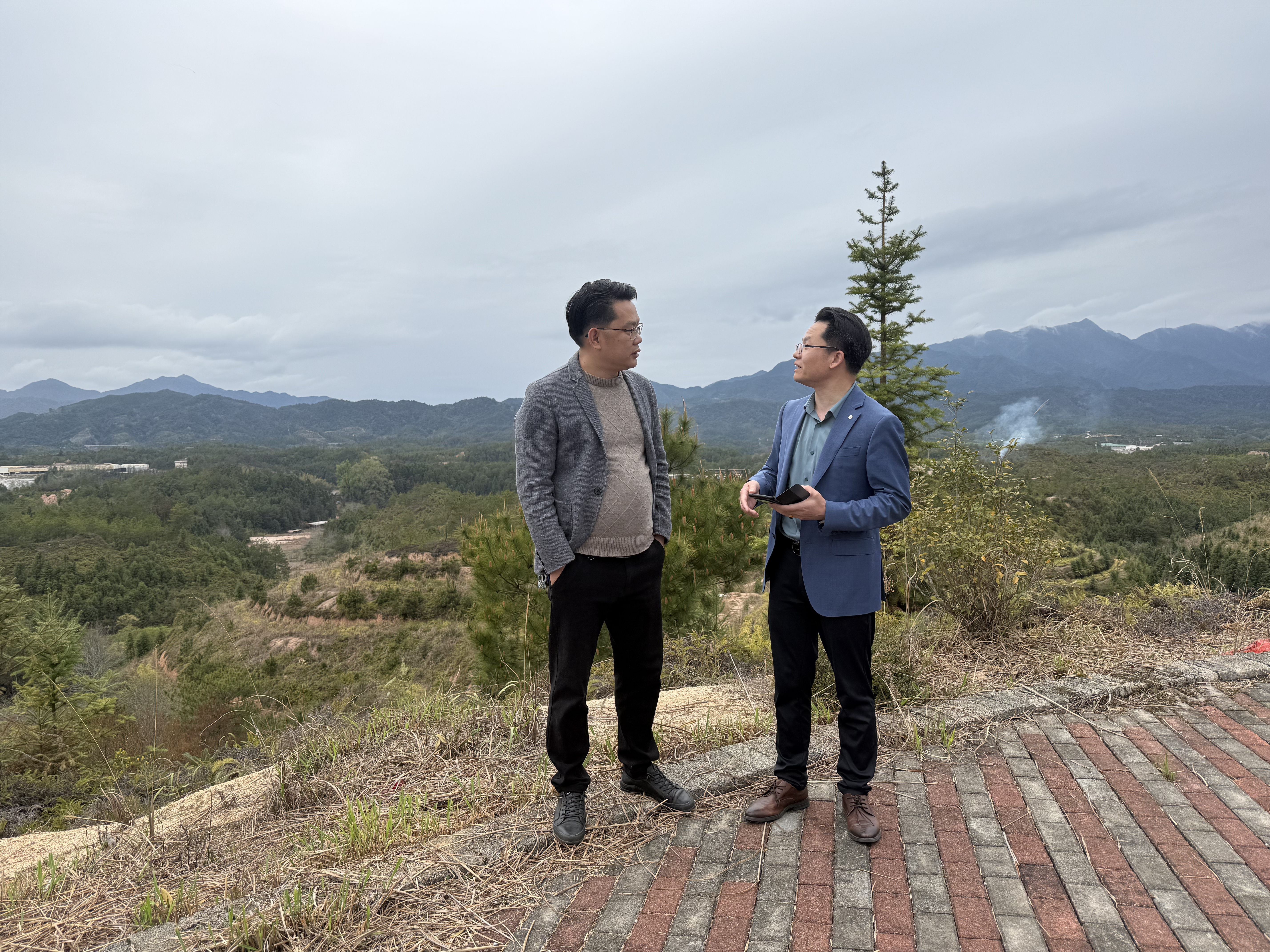 镇党委书记许德洋等领导莅临茶山考察