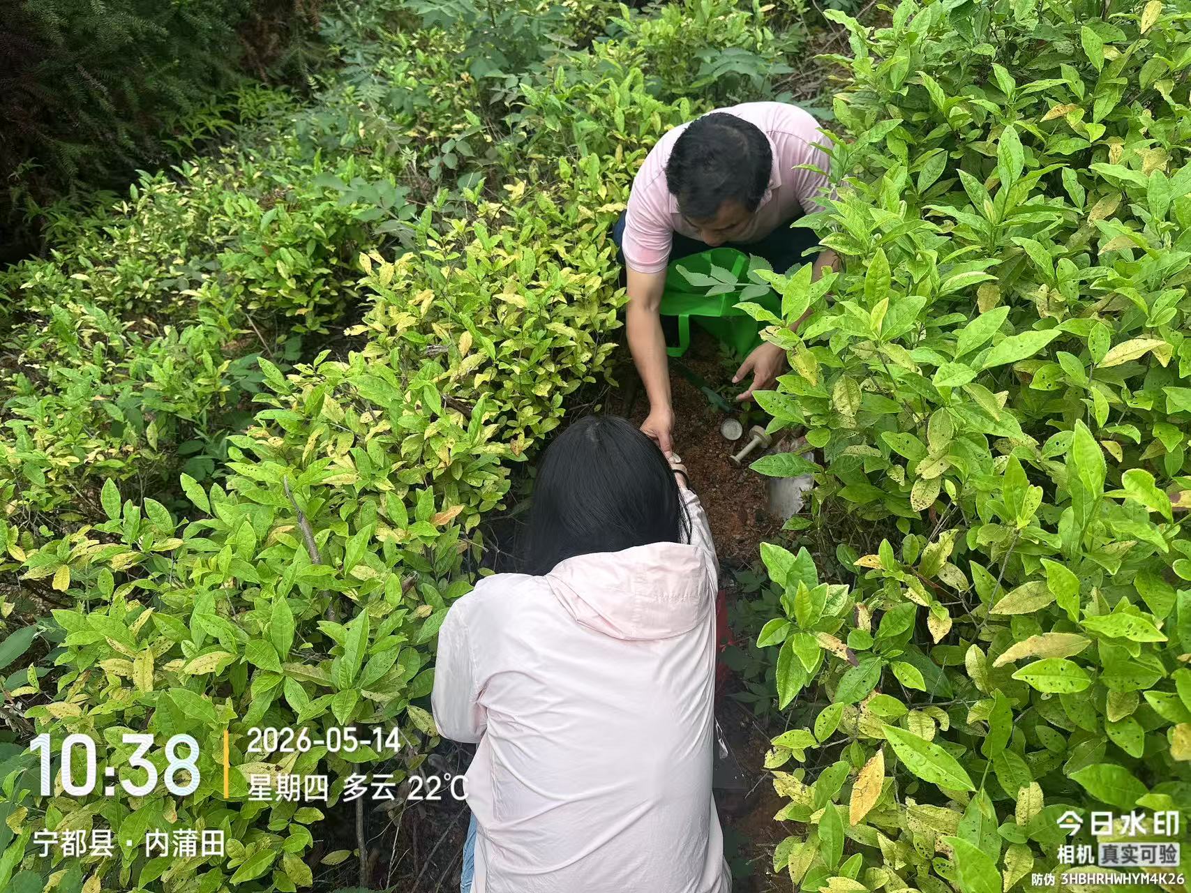 江西省水利科学院茶山基地土壤检测