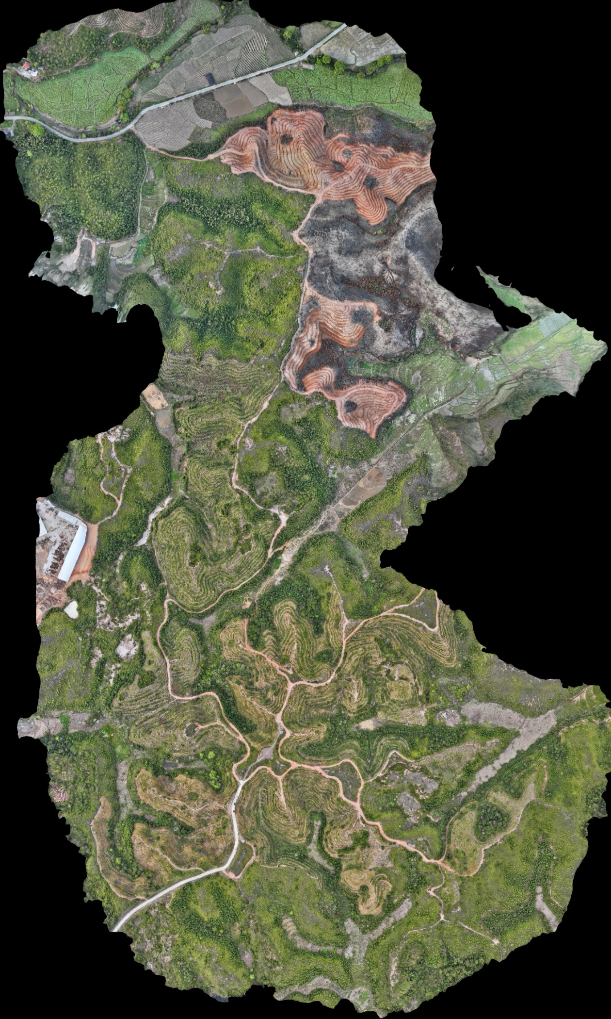 江西省水利科学院茶山基地土壤检测