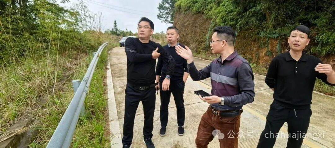 重新认识赣南高山茶