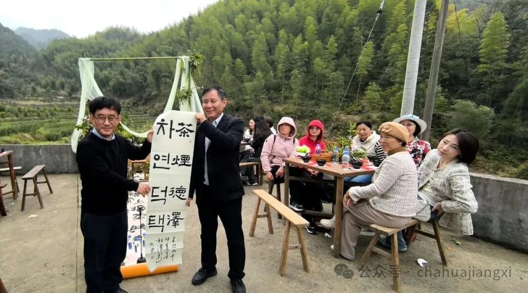 重新认识赣南高山茶