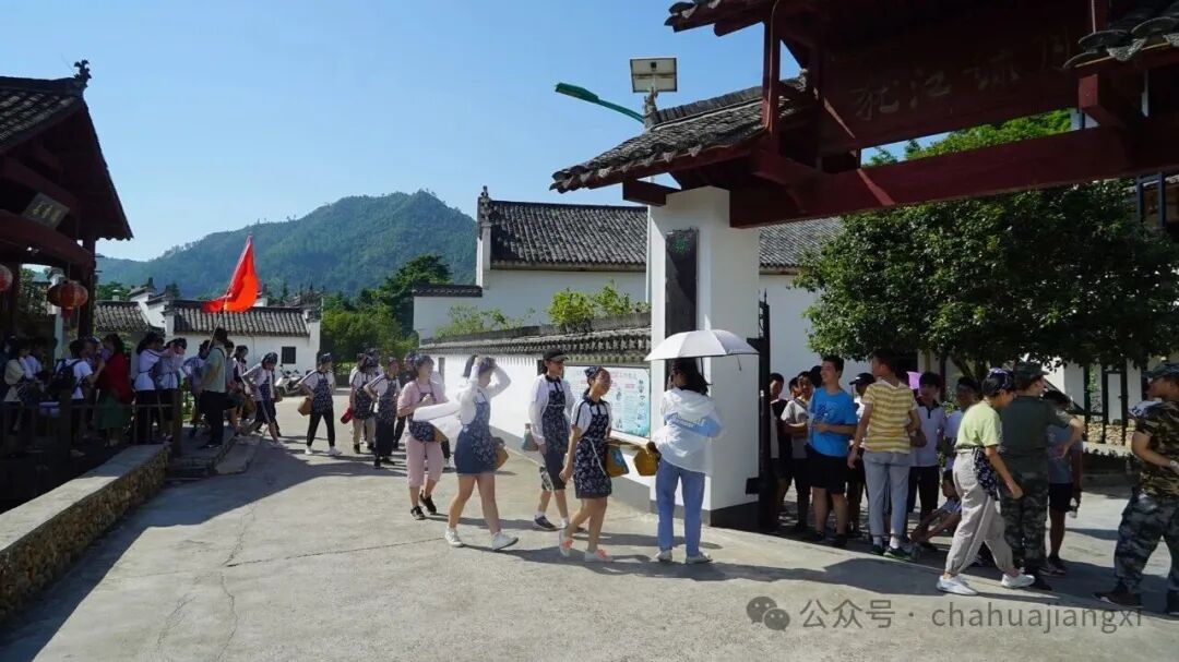重新认识赣南高山茶