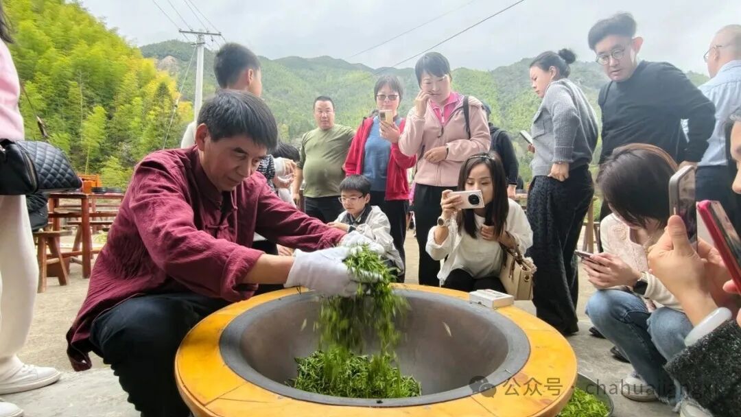 重新认识赣南高山茶