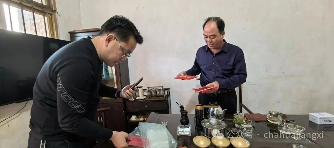 重新认识赣南高山茶