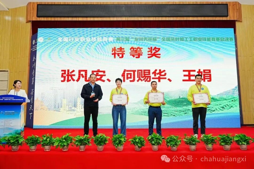 重新认识赣南高山茶