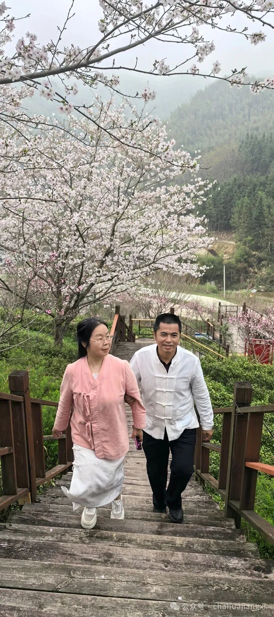 重新认识赣南高山茶