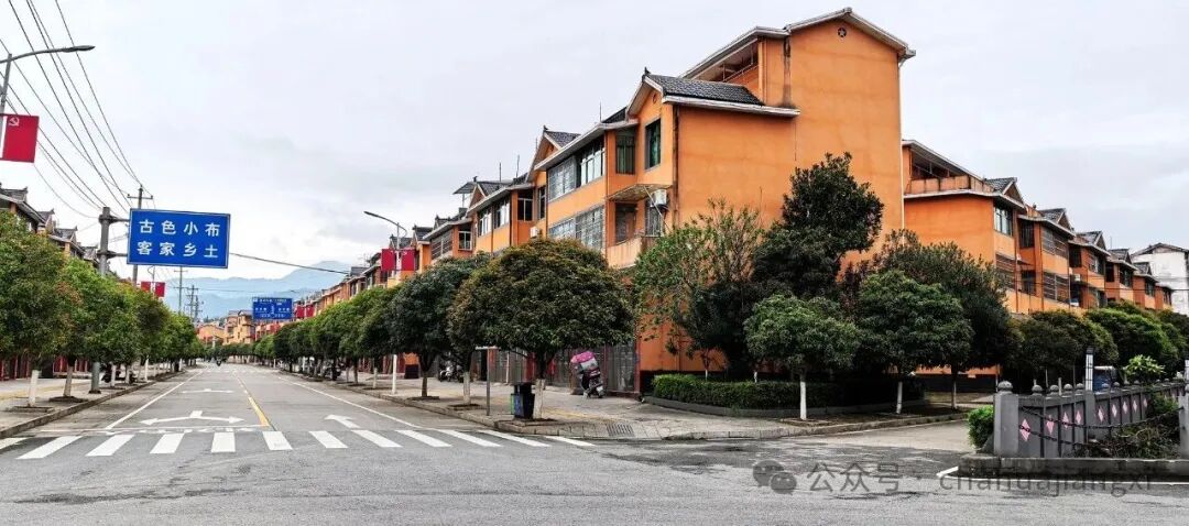 重新认识赣南高山茶