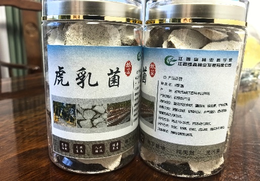 虎乳菌